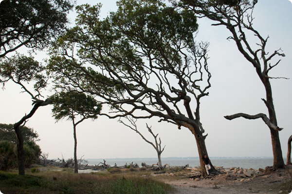 Rahn Jekyll Island